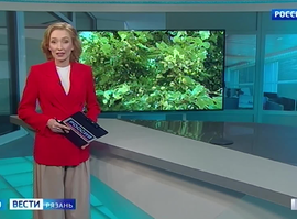 Эфир от 13.06.2024 (09:00)