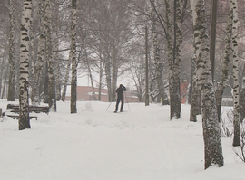 Холодовая аллергия