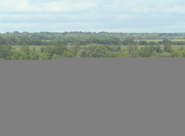 Канищевское городище