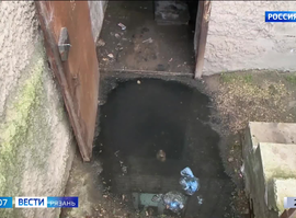 Пугачева, 11/19