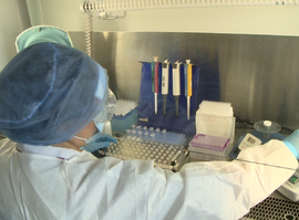 Клещи в атаке: какие большие проблемы со здоровьем может вызвать маленький паразит?