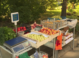 Актуальная тема - Незаконная торговля на улицах