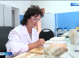 Проверка качества семян