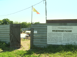 Актуальная тема - Первые археологические находки этого сезона