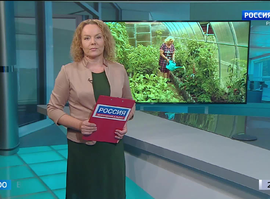 Эфир от 23.07.2024 (09:00)