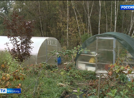 Дачный сезон