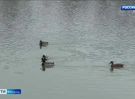 Каскадные пруды