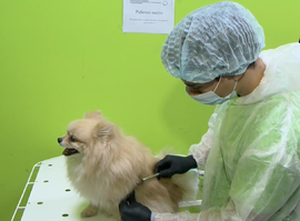 В Рязанской области проходит региональный этап чемпионата по профессиональному мастерству