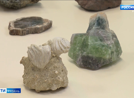 Неделя палеонтологии