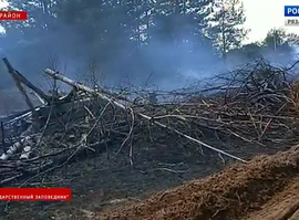 Актуальная тема - пожароопасный период (Окский заповедник)