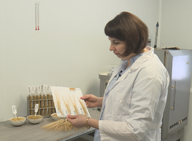 Уйдут от импорта