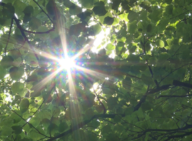 Актуальная тема - Начало рабочей недели в Рязанской области стало жарким