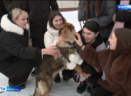 Кинологический центр