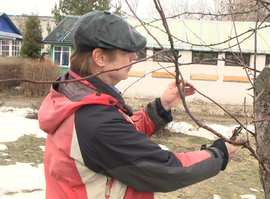 Рязанские дачники приступили к работам в саду