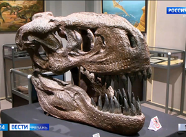 Выставка "Древняя жизнь"