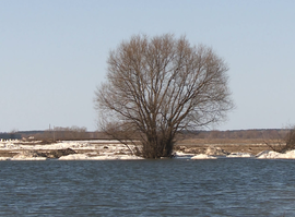 Жители Заокского и Коростова готовятся к половодью