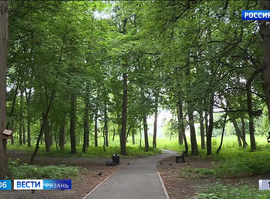 Программа местных инициатив