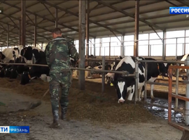 Исправительные центры