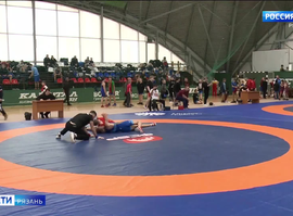 Соревнования по греко-римской борьбе