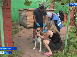 Бешенство у животных