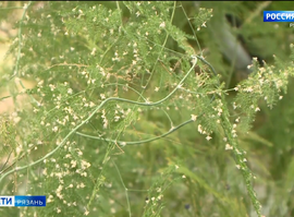 Биостанция РГУ