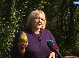 Актуальная тема - Дачный урожай