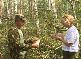 Подсчет непарного шелкопряда