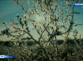 Выставка "Как прекрасен этот мир"