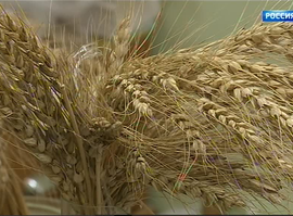 Актуальная тема - Сельхозпроизводители