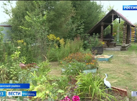 Дачники готовятся к предстоящей зиме