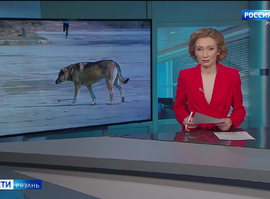 Эфир от 26.03.2025 (11:30)