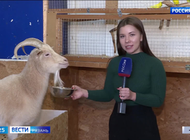 Утилизировать с пользой