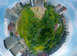 Актуальная тема - В Рязани открыли новый туристический маршрут об истории озеленения города