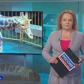 Эфир от 16.06.2026 (09:30)