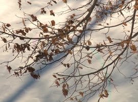 Актуальная тема - «Барическая пила»