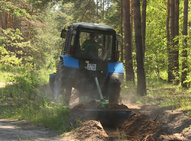 В рязанских лесах обустраивают минерализованные полосы