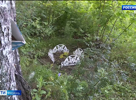 Не нарушая закон