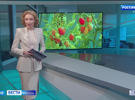 Эфир от 02.08.2024 (09:00)