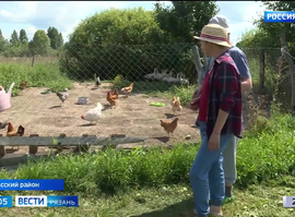 Проект "Маленькая страна. Территория развития и отдыха"