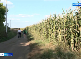 Сельхозземли