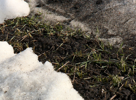 Актуальная тема - Аграрии