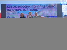 Соревнования по плаванию