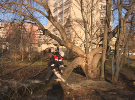 В Рязани устраняют последствия урагана