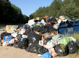 Актуальная тема - Мусорная реформа в регионе: что мешает ее выполнению?