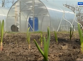 Актуальная тема - Дачный сезон