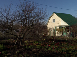 Актуальная тема - Дачники готовят участки к зиме