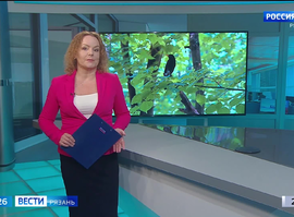 Эфир от 06.06.2024 (09:00)