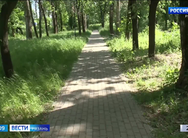 "Скверные" истории