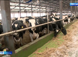 Молочное производство