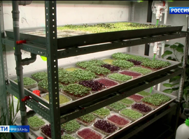 Соцконтракт